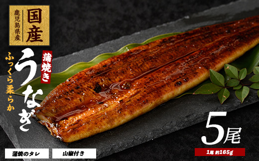 【2025年12月21日までのご入金で年内発送】【鹿児島県産】うなぎ蒲焼じっくり焼き約165g×5尾 化粧箱入り(大新/037-1106)  うなぎ 国産 鹿児島 蒲焼 丑の日 丑 土用丑の日