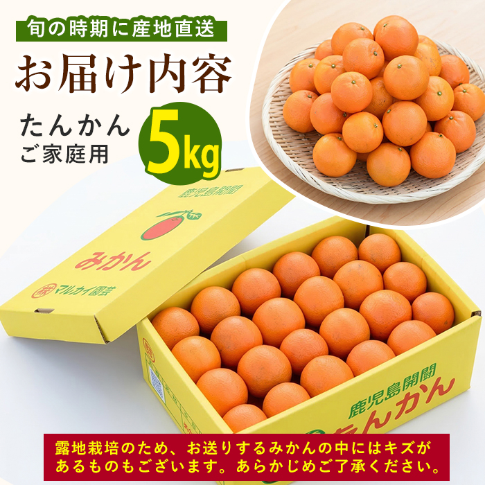 【2026年発送】たんかん約5kg(迫田果樹園/IB064-001) 鹿児島 開聞 たんかん みかん タンカン ミカン 指宿 フルーツ 果物 冬 旬 ご家庭用
