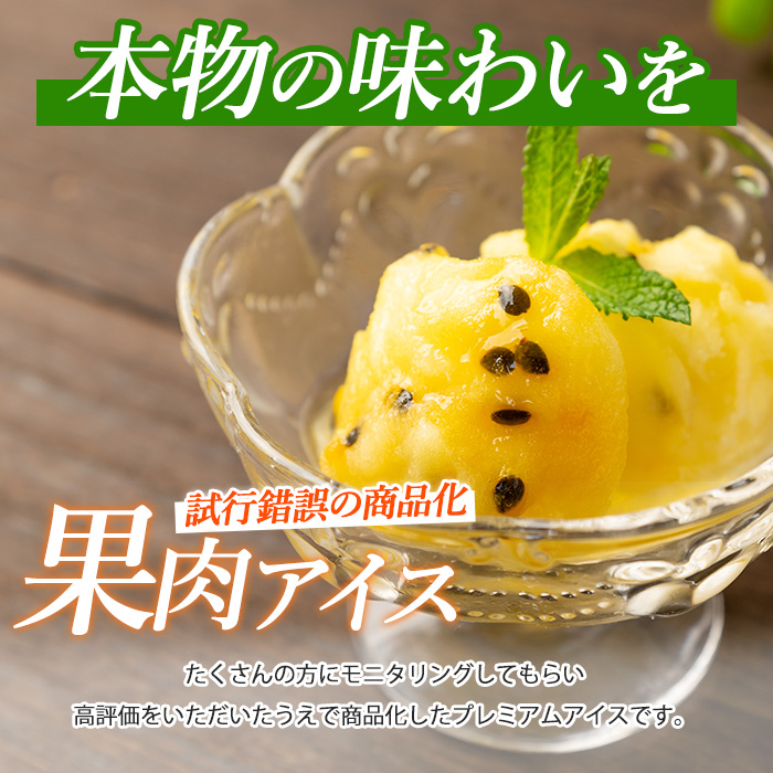 【全５回定期便】ゴロゴロ果肉入りアイス10個入定期便(マンゴーの森/IBZ040-002) アイス フルーツ マンゴー スイーツ シャーベット