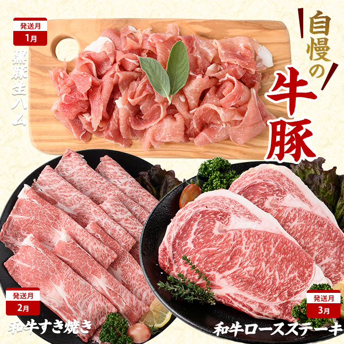 【2026年発送 先行予約】【全１０回定期便】鹿児島自慢の豚・牛・うなぎ 満足定期便(水迫畜産/Z100-528) 国産 鹿児島県産 ウナギ 鰻 牛肉 豚肉 肉 牛 豚 生ハム うなぎ蒲焼 蒲焼 蒲焼き すきやき すき焼き 生姜焼き 合いびき 合挽 味付 和牛 黒豚 いぶすき ホルモン カルビ ハンバーグ 切り落とし 焼肉 しゃぶしゃぶ ステーキ ソーセージ 指宿 鹿児島 頒布会 定期