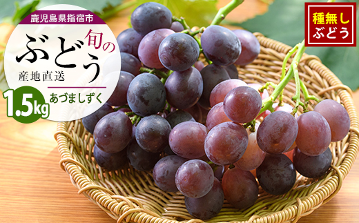 【2026年7月上旬〜発送】＜期間限定＞迫田果樹園のぶどう あづましずく 約1.5kg (迫田果樹園/IB064-010) フルーツ 葡萄 果物 甘い 種なし