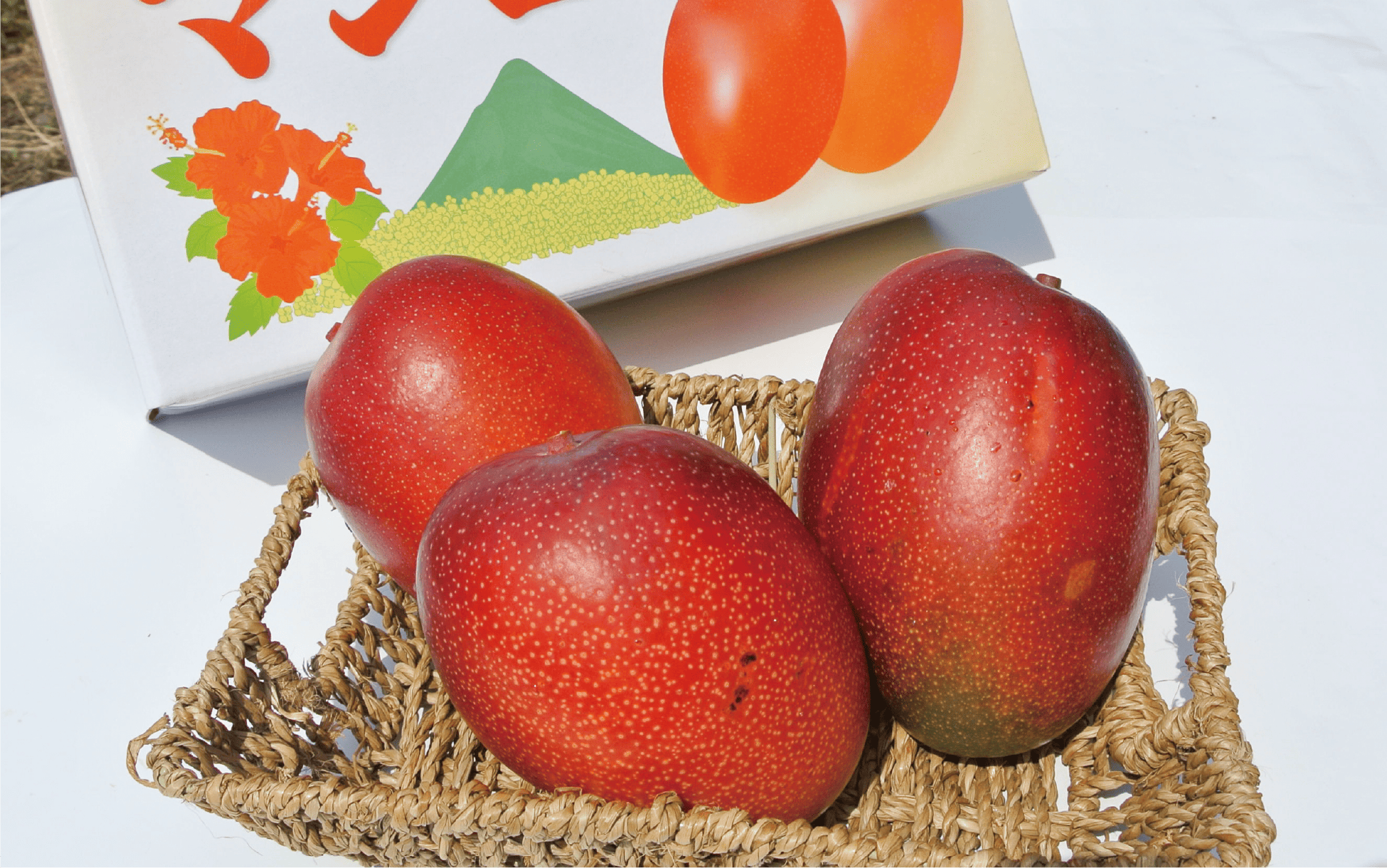 ã2026幎 çºéãïŒèš³ããïŒå°äžããæ¹§ãåºãæž©æ³ãšèžæ°ç±ãå©çšæ œå¹ããæž©æ³å®çãã³ãŽãŒçŽ1kg(ãããã«ã«ãã¡ãŒã ãã¶ãã/016-1764) ãã³ãŽãŒ ãã«ãŒã æç© ãã ãã® æ¬ å€ æå®¿ ãã¶ãã 鹿å
å³¶