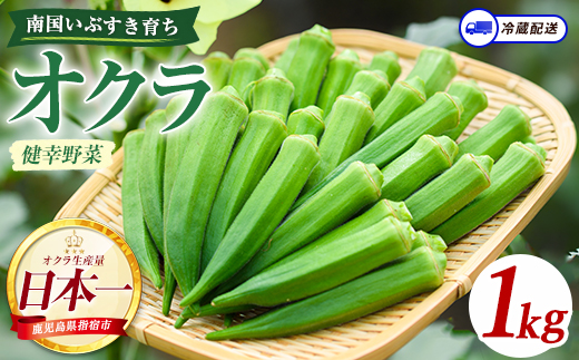 指宿(いぶすき)産オクラ1kg (オネファーム/IB130-004) 野菜 夏野菜 旬 特産 夏 新鮮 オクラ 鹿児島 オネファーム 指宿市