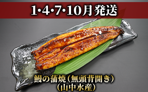 【全３回定期便】鰻・和牛・黒豚 指宿のイチ押し定期便(Z055-294)国産 うなぎ 牛肉 豚肉