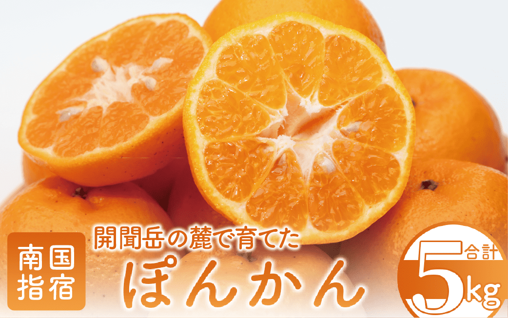 【2025年12月中旬～発送】開聞岳の麓で育てたぽんかん約5kg(迫田果樹園/A-293) 鹿児島県 ぽんかん ポンカン みかん フルーツ 柑橘 旬 果物 いぶすき 指宿 開聞 完熟 果実 春 露地栽培 ご家庭用