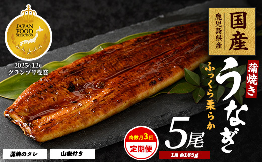 【全３回定期便・奇数月お届け】鹿児島県産うなぎ蒲焼じっくり焼き約165g×5尾(大新/Z100-1697) 鰻 蒲焼 国産 丑の日 うな重 無頭 ギフト ふっくら 小分け レンジ 簡単 頒布会 小分け うな丼 ウナギ 冷凍