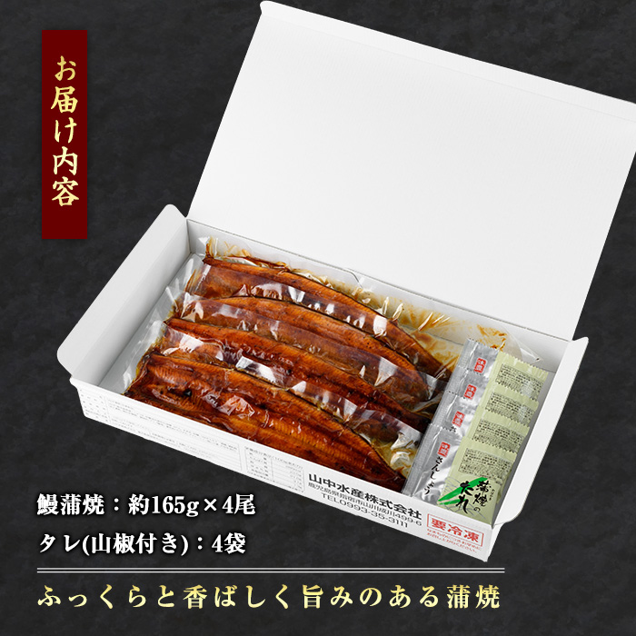 【歳末感謝！】【鹿児島県産】 鰻の蒲焼(無頭背開き)約165g×4尾(山中水産/033-1066) うなぎ 国産 鹿児島 蒲焼 丑の日 丑 土用丑の日 