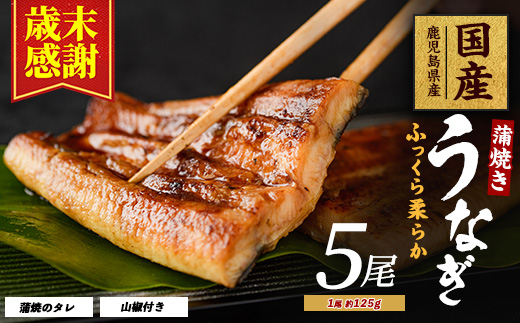 【歳末感謝！】【鹿児島県産】うなぎ蒲焼じっくり焼き約125g×5尾 化粧箱入り(大新/026-1903) 鰻 ウナギ 蒲焼 国産 丑の日 うな重 無頭 ギフト プレゼント 贈り物 贈答 惣菜 総菜 小分け レンジ 簡単 蒲焼き 冷凍 鹿児島県産