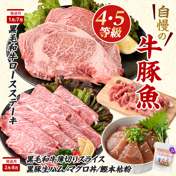 ãå
šïŒåå®æäŸ¿ããç·éé5ãè¶ãã4ã»5ççŽé»æ¯åçã»é»è±ã»ãã°ã䞌ã»ã«ããªäžŒã»ã«ããªã®ãããã»ããèº«å®æäŸ¿(æ°Žè¿«çç£/Z075-1983) è±è çè çãã ããçŒã åç ã¹ã©ã€ã¹ çŒè ããŒã¹ é»è± é å°åã ã¹ããŒã çŒãè ãã€ã æå®¿ 鹿å
å³¶ ãã¶ãã