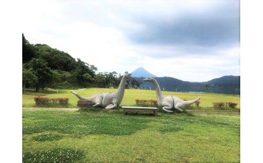 【池田湖でアクティビティ体験】インストラクター付シーカヤック体験60分間(えぷろんはうす池田/A-185)