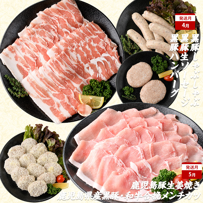 【2026年発送 先行予約】【全１０回定期便】鹿児島自慢の豚・牛・うなぎ 満足定期便(水迫畜産/Z100-528) 国産 鹿児島県産 ウナギ 鰻 牛肉 豚肉 肉 牛 豚 生ハム うなぎ蒲焼 蒲焼 蒲焼き すきやき すき焼き 生姜焼き 合いびき 合挽 味付 和牛 黒豚 いぶすき ホルモン カルビ ハンバーグ 切り落とし 焼肉 しゃぶしゃぶ ステーキ ソーセージ 指宿 鹿児島 頒布会 定期