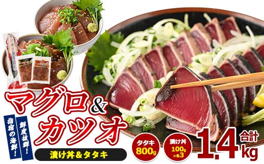 カツオのたたき(約800g)とマグロ・カツオの海鮮漬け丼(各100g×3袋)セット(山川町漁協/IB039-003) 海鮮 カツオ かつおたたき マグロ漬け丼 カツオ漬け丼 漬け丼 丼 のっけ丼 海鮮丼 惣菜 総菜 簡単 調理済み セット 指宿食品 漁協 指宿 山川 指宿鰹節 鹿児島 国産 たたき 刺身　魚 人気  冷凍 小分け 一人暮らし 食品  かつおのたたき カツオのタタキ かつおのタタキ
