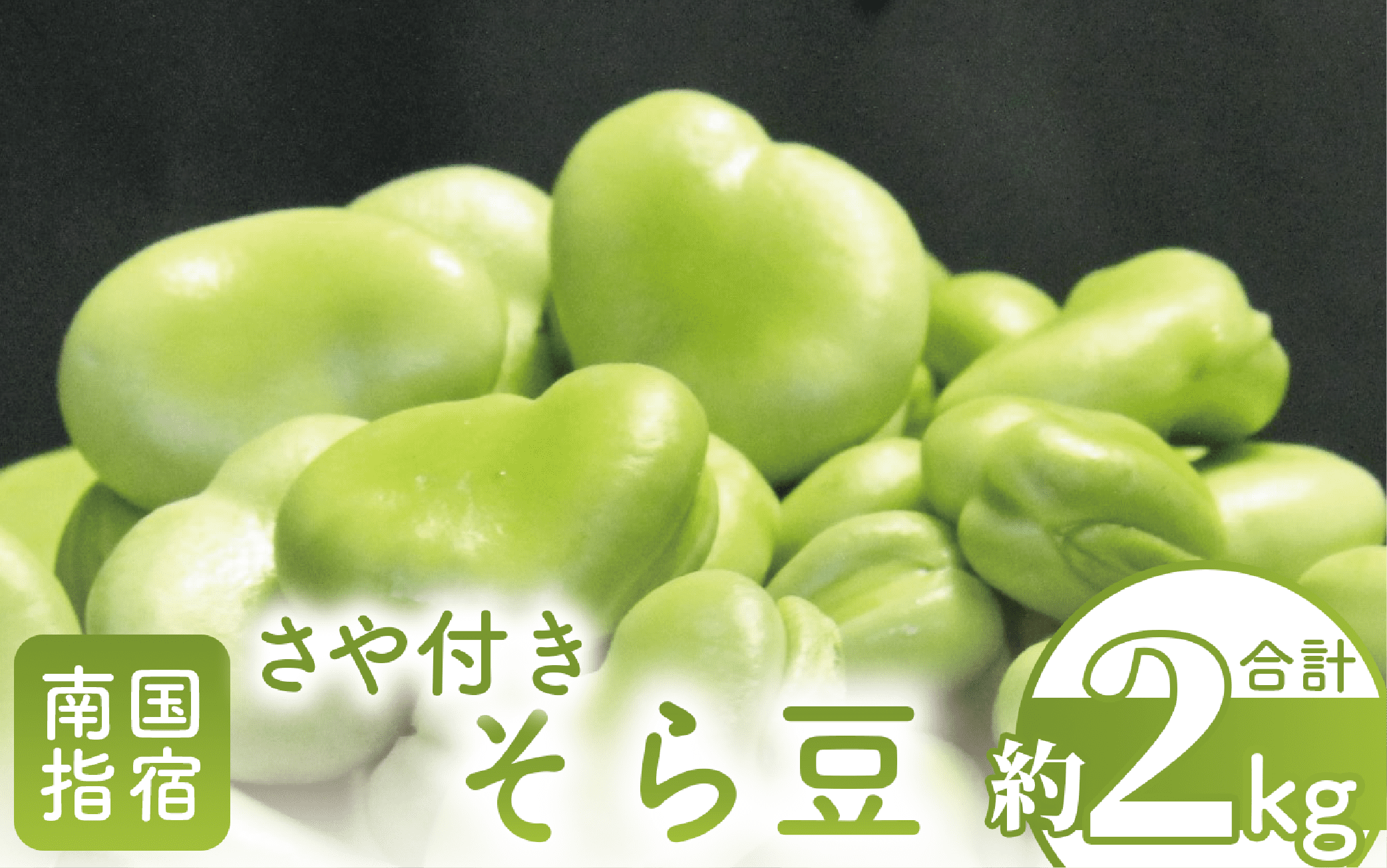 【2026年1月中旬～発送】さや付きそら豆約2kg～冬～(アグリスタイル/A-206) 野菜 そらまめ ソラマメ サラダ 旬 冬 おつまみ