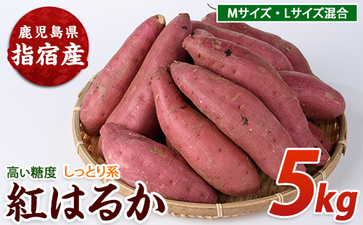 【2025年11月上旬頃～順次発送】らくと農園の紅はるか5kg(らくと農園/A-282) さつまいも おやつ さつま芋 焼芋 やきいも 焼きいも スイーツ