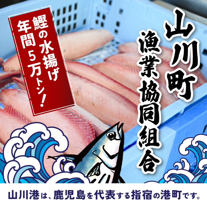 6種の すり身 300g×各2本(計3.6kg) セット (山川町漁協/020-1206) すりみ スリミ 魚 魚惣菜 さかな 魚介 海鮮 さつまあげ さつま揚げ そうざい 冷凍 味付き しいら シイラ 甘口 甘さ控えめ 薄味 うすあじ うす味 アジ あじ いわし イワシ ブリ ぶり 指宿 いぶすき 鹿児島