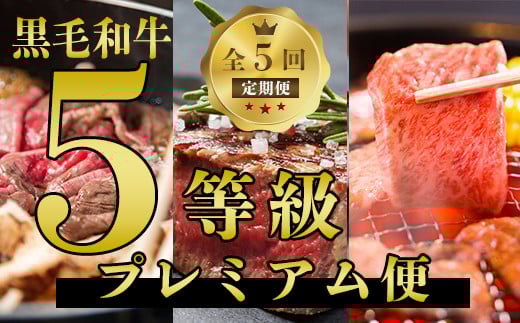 【全５回定期便】数量限定！鹿児島県産黒毛和牛5等級プレミアム定期便(水迫畜産/Z-077) 5等級 定期便 5回 黒毛和牛 牛 牛肉 国産 鹿児島県産 肉 自社牧場 ヒレ ヒレステーキ サーロイン サーロインステーキ 肩 カタロース 肩ロース すきやき 焼き肉 やきにく 鍋 モモ モモ肉 ステーキ すき焼き 焼肉 しゃぶしゃぶ 鹿児島 指宿