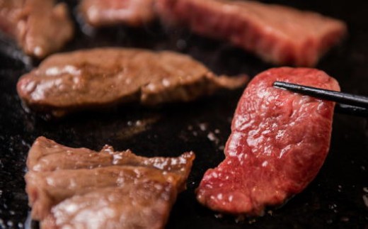 【A4ランク未経産黒毛和牛】黒毛和牛盛り盛り焼き肉♪三角バラ・肩ロースセット(指宿育ち！)(Meat you/IB029-005)