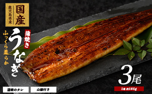 【2025年12月21日までのご入金で年内発送】【鹿児島県産】うなぎ蒲焼じっくり焼き約165g×3尾 化粧箱入り(大新/023-1105)  うなぎ 国産 鹿児島 蒲焼 丑の日 丑 土用丑の日
