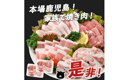 【指宿産かごしま黒豚】焼肉バラエティセット1kg(岡村商店/IB024-013)