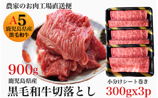 鹿児島県産黒毛和牛5等級切落し900g(水迫畜産/016-1292)牛肉 牛 国産