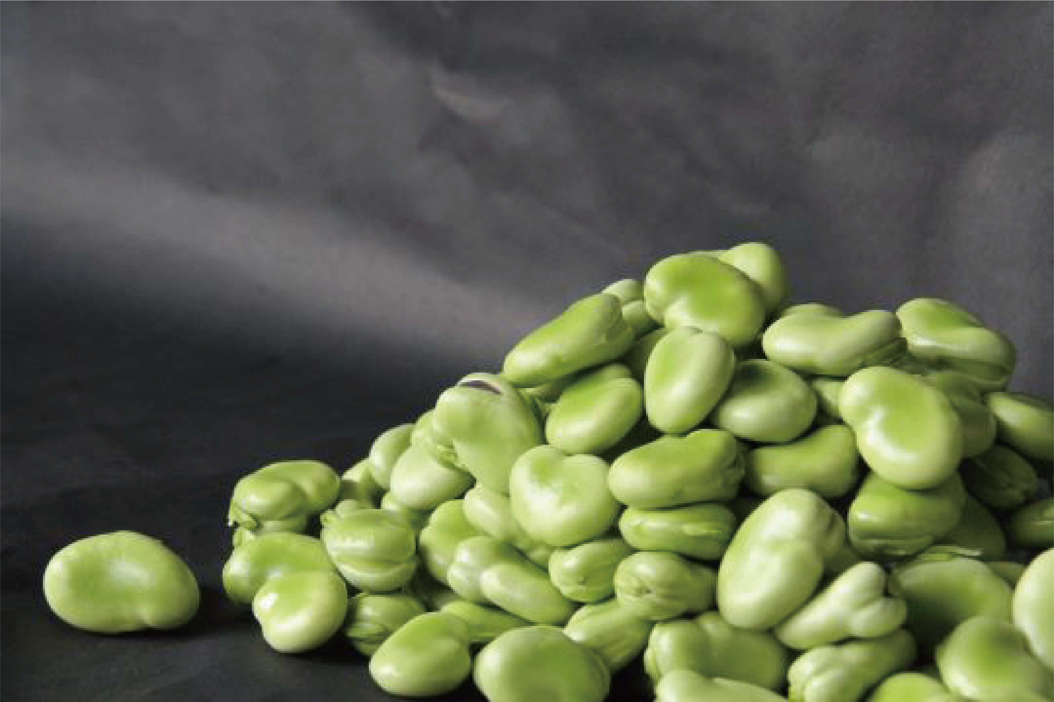 【2026年1月中旬〜発送】豆ざんまい(アグリスタイル/A-294) 鹿児島県 指宿市 新鮮 直送 レンジで簡単調理 豆 えんどう豆 スナップエンドウ そら豆 国産 野菜 キヌサヤエンドウ 絹サヤ さや付きそら豆 オランダエンドウ