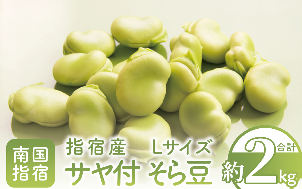 【2026年1月中旬～発送】指宿産サヤ付そらまめLサイズ約2kg(岡村商店/A-129) 鹿児島県 そらまめ ソラマメ そら豆 豆 旬 指宿市 春 野菜 サラダ おつまみ