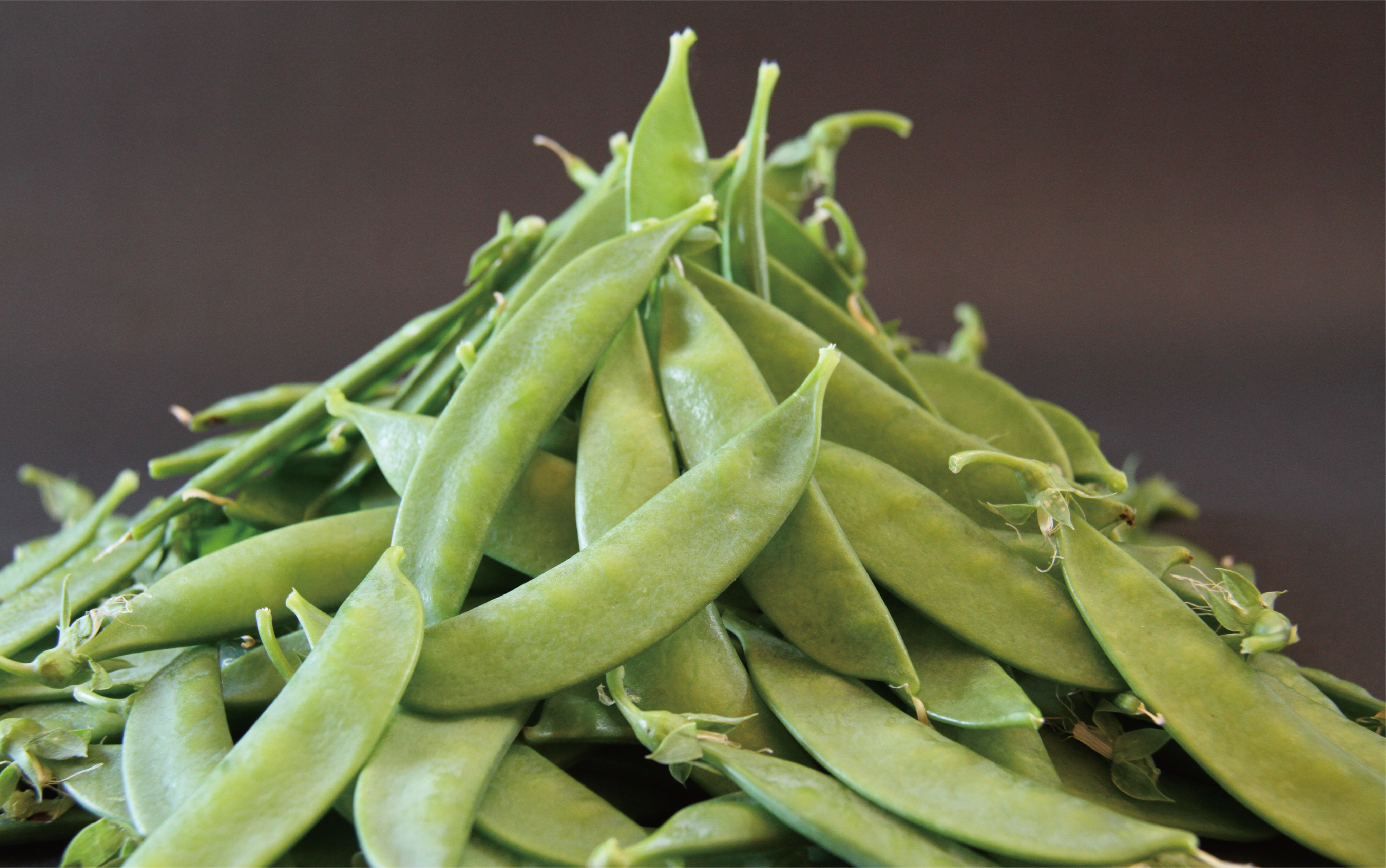 【2026年1月中旬〜発送】豆ざんまい(アグリスタイル/A-294) 鹿児島県 指宿市 新鮮 直送 レンジで簡単調理 豆 えんどう豆 スナップエンドウ そら豆 国産 野菜 キヌサヤエンドウ 絹サヤ さや付きそら豆 オランダエンドウ