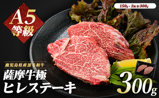 【2025年12月14日までのご入金で年内発送】薩摩牛 極 ヒレステーキ 300g(2枚入)(カミチク/026-1657) A5 国産 牛肉 牛 ブランド牛 ヘレ ヘレ肉 黒毛和牛 鹿児島県産 黒毛 A5ランク 国産牛 お肉 肉 ヒレ ヒレ肉 鉄板焼き 鹿児島 指宿 鹿児島県産 ギフト おかず ご褒美 ステーキ 和牛 冷凍 厚切り 厚切りステーキ きわみ 極み 薩摩 薩摩牛 さつま