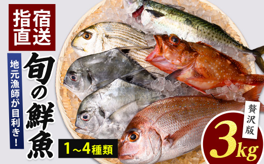 【指宿産直便】漁師が選ぶ季節の鮮魚便  贅沢セット(指宿山川水産/022-1092) 鹿児島 魚 鮮魚 魚介 旬 お刺身 お寿司 煮付 料理 国産
