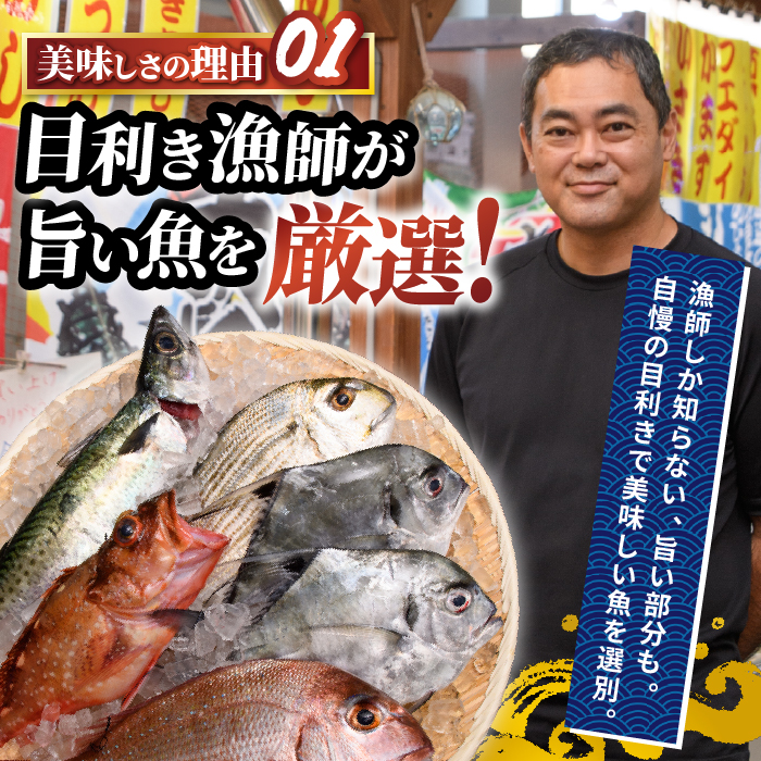 【国産天然鯛】漁師が作った鯛茶漬け6Pかつお魚醤付(指宿山川水産/IB035-008) 鹿児島 天然鯛 海鮮 海産物 魚介 魚 魚茶漬け お茶漬け 小分け パック セット 冷凍 国産