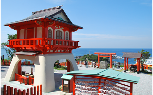 ≪返礼品なし≫鹿児島県指宿市への応援寄附金(1口：5,000円)005-155