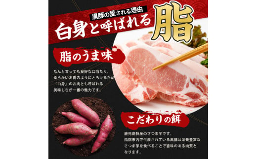 【10営業日以内に発送】レンジで簡単 かごしま黒豚デミグラスハンバーグ170g×10個(レンジ調理)(岡村商店/IB024-029) ハンバーグ デミソース 温めるだけ 黒豚 豚 豚肉 デミグラスハンバーグ かごしま黒豚 国産 鹿児島県産 レンジ レンチン 簡単 簡単調理 冷凍 小分け 子供 個食 洋食 個包装 手軽 少量 個別包装 レトルト 国産豚 ロコモコ アレンジ スパイス 煮込みハンバーグ