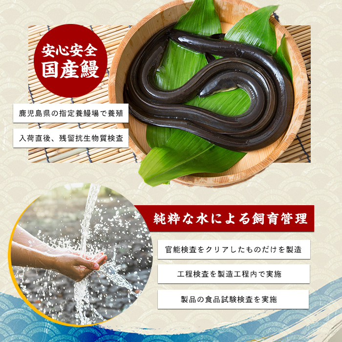 【歳末感謝！】【鹿児島県産】うなぎ蒲焼じっくり焼き約165g×5尾 化粧箱入り(大新/037-1106)  うなぎ 国産 鹿児島 蒲焼 丑の日 丑 土用丑の日 