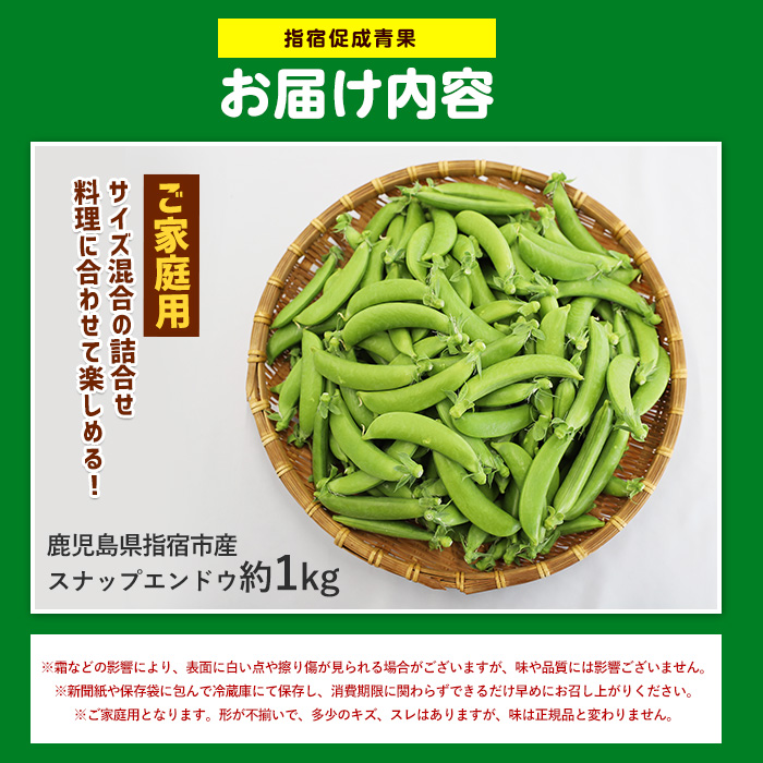 【産地直送！新鮮旬野菜！】ご家庭用スナップエンドウ約1kg(指宿促成青果/IB092-001) スナップ エンドウ 野菜 旬 旬野菜 春 サラダ 天ぷら 炒め物 新鮮 指宿 鹿児島 いぶすき