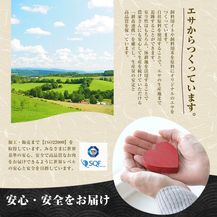 「まるで大トロ！とろけるくちどけ」A5等級鹿児島県産黒毛和牛牛刺し2種盛り300g(カミチク/IB112-007)ふるさと納税 指宿市 特産品 国産 個包装 牛肉 肉 焼肉 牛握り 炙り 寿司 ユッケ