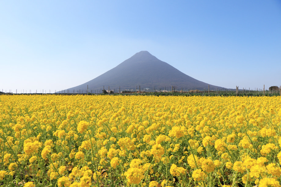 指宿市におまかせ