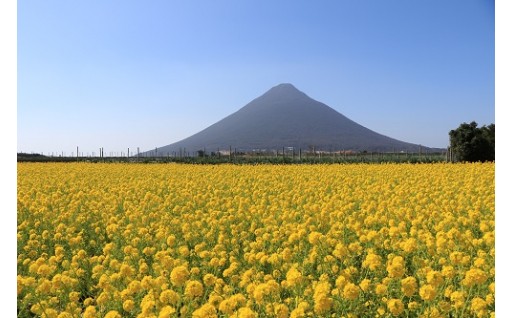 １～６の指定を市長に任せます。