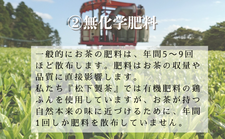 【 R8年産 出荷中 】種子島 の 有機緑茶 「くりたわせ」100g 松下製茶 NFN595【150pt】// 新茶 緑茶 オーガニック 煎茶 日本茶 お茶 
