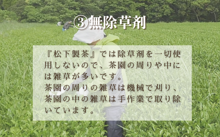 【 R8年産 出荷中 】 種子島 の 有機 緑茶  茶葉 ３種セット 松下製茶 NFN596【325pt】 // 新茶 緑茶 オーガニック 煎茶 日本茶 お茶