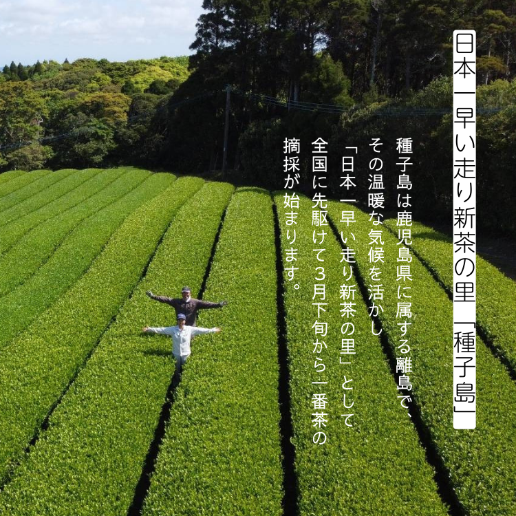 ã å
è¡äºçŽ ã çš®åå³¶ ææ© æŸå¯¿ ïŒè¢ NFN668ã125ptã // ãªãŒã¬ãã㯠蟲è¬äžäœ¿çš äžçªè¶ èªåèªè£œ æäœæ¥