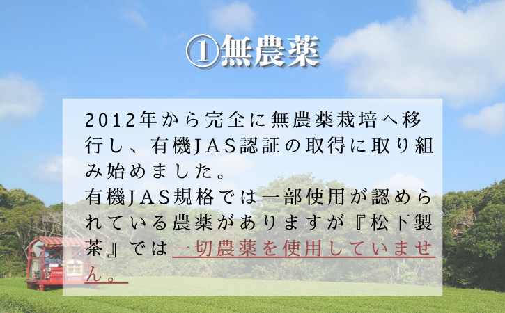 【 R8年産 出荷中 】種子島 の 有機緑茶 「くりたわせ」100g 松下製茶 NFN595【150pt】// 新茶 緑茶 オーガニック 煎茶 日本茶 お茶 