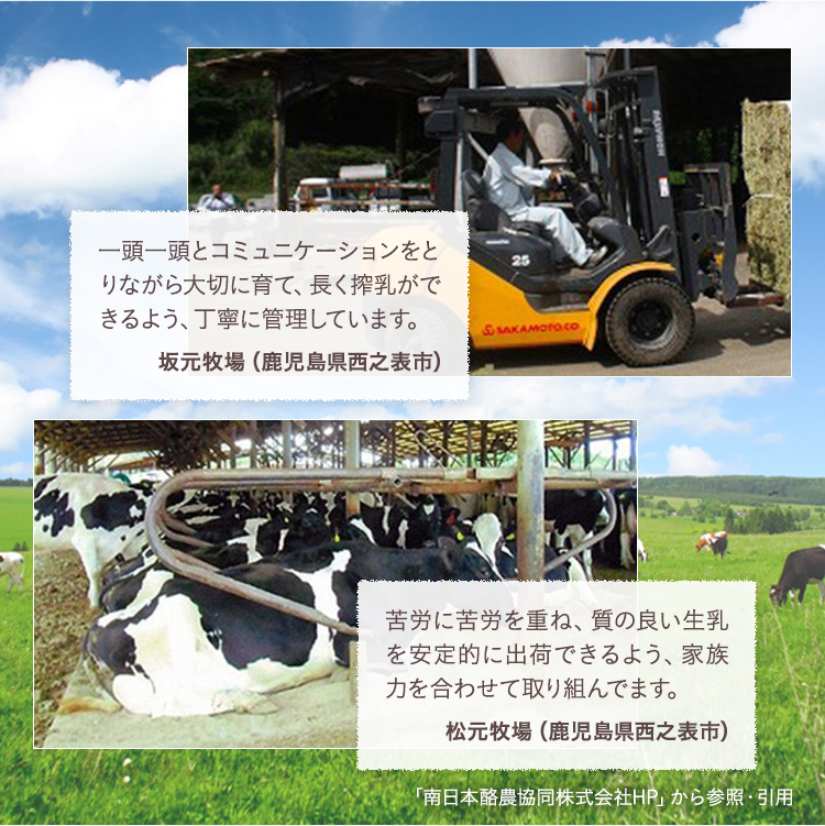 種子島 バター 200g × 8箱　NFN622 【450pt】　  // 酪農 牧場 乳牛 3.6牛乳 種子島バター 普段使い 生乳 牛乳 風味豊か ランキング 人気 お菓子 素材