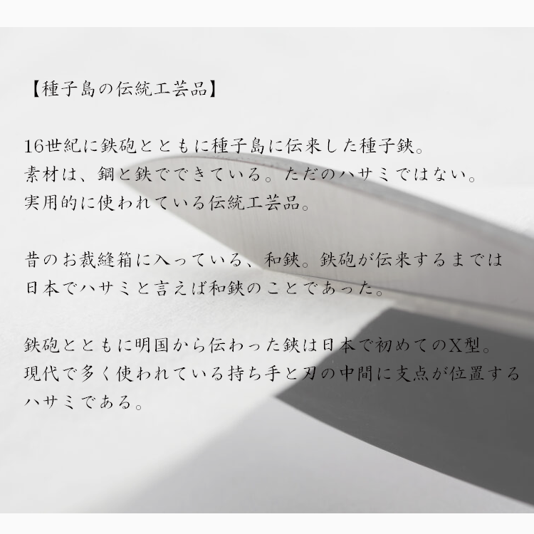 種子鋏 （たねばさみ） ５寸 黒仕上 木箱入　NFN160 【875pt】