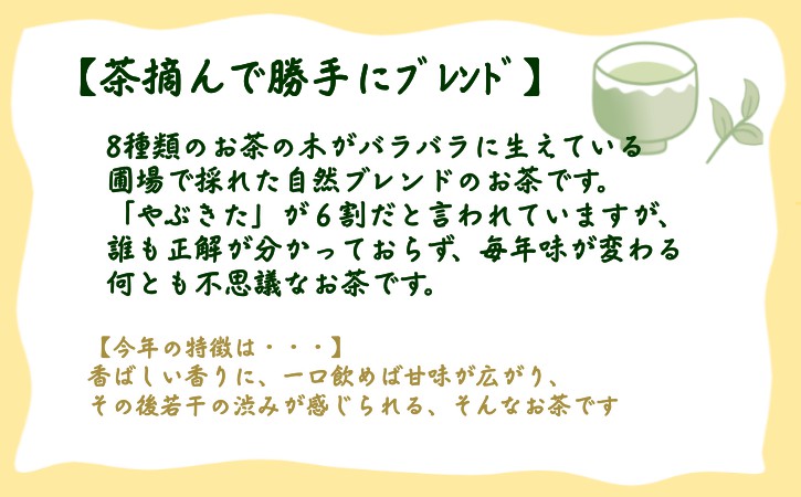 種子島 射場貴大 茶園 品種 飲み比べ セット ２ （９種）　NFN577【550pt】 // おすすめ お茶飲み比べ 松寿 くりわたせ しまみどり さえみどり あさつゆ なんめい やぶきた めいりょく 茶摘んで勝手にブレンド