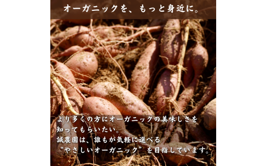  種子島 産 オーガニック  (有機)  種子島 安納いも  (誠農園) １０ｋｇ　NFN538 【650pt】