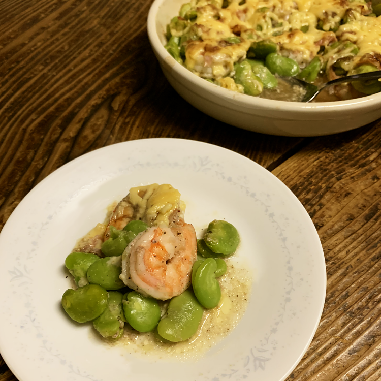 種子島 農園 のむさん 早春 の そらまめ 4ｋｇ　NFN300【600pt】