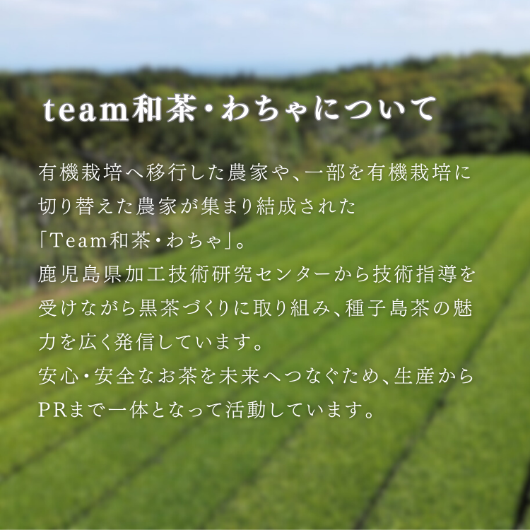 たねがしま 黒茶 ティーバッグ 3種  （黒麹・白麹・黄麹) NFN666【150pt】// ティーバッグ フルーティー オーガニック ファスナー袋