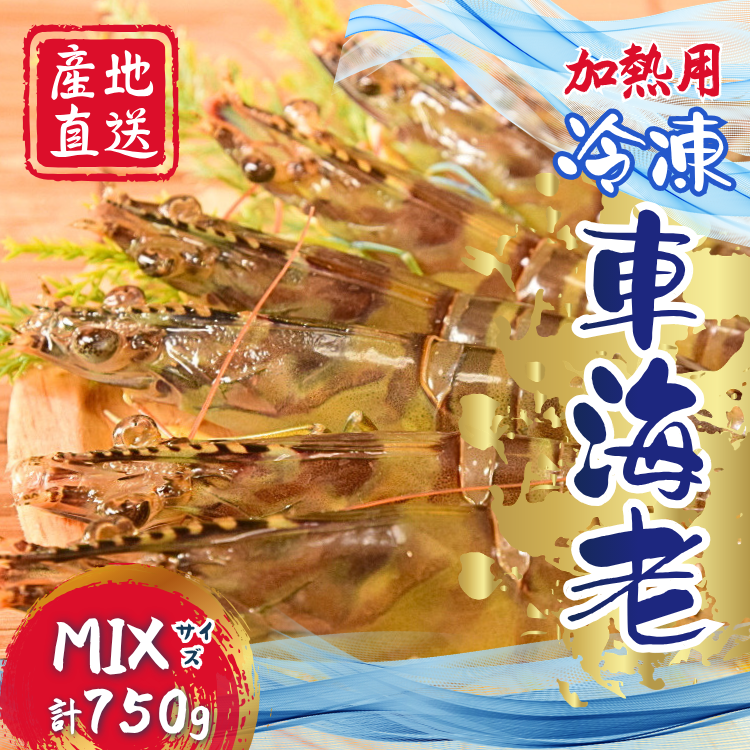 種子島 産 車えび M L 3L サイズミックス 冷凍 車海老 (250g×3袋) 計750g　NFN671 【450pt】 // 黒潮 活きえび 急速冷凍 真空パック冷凍 加熱用 甘み 旨み 新鮮 ぷりっぷり 250ｇ 小分け 塩焼き 海老フライ 天ぷら エビチリ