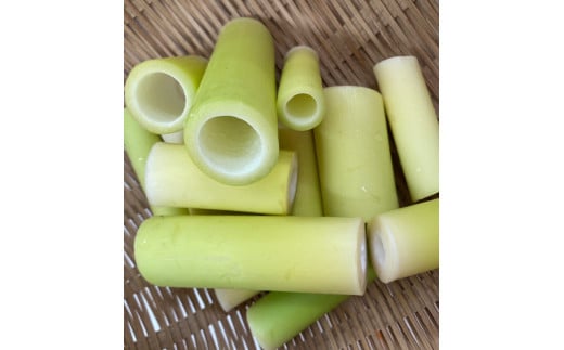 【 先行予約 】 種子島 産 ニガダケ （根本部分のみ ）計４ｋｇ　NFN499【250pt】