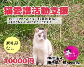 【返礼品なし】猫愛護活動支援 NFN641 【250PT】// 特定非営利活動法人　種子島 島neco会